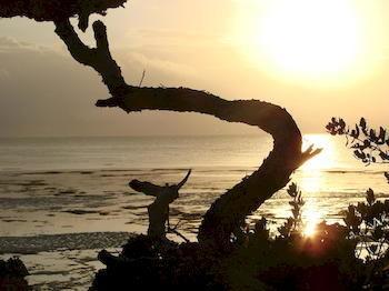 Zanzibar Rock Resort Pongwe Exterior photo